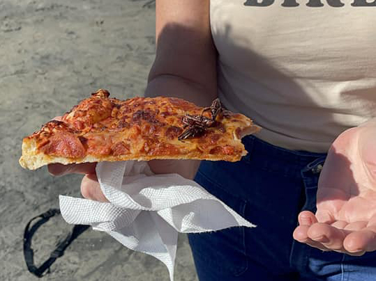 Pizza with cricket topping