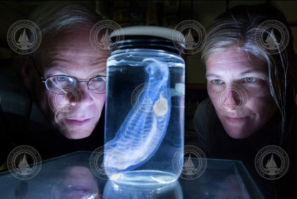 Larry Madin and Kelly Rakow Sutherland behind a glass jar holding a salp specimen.