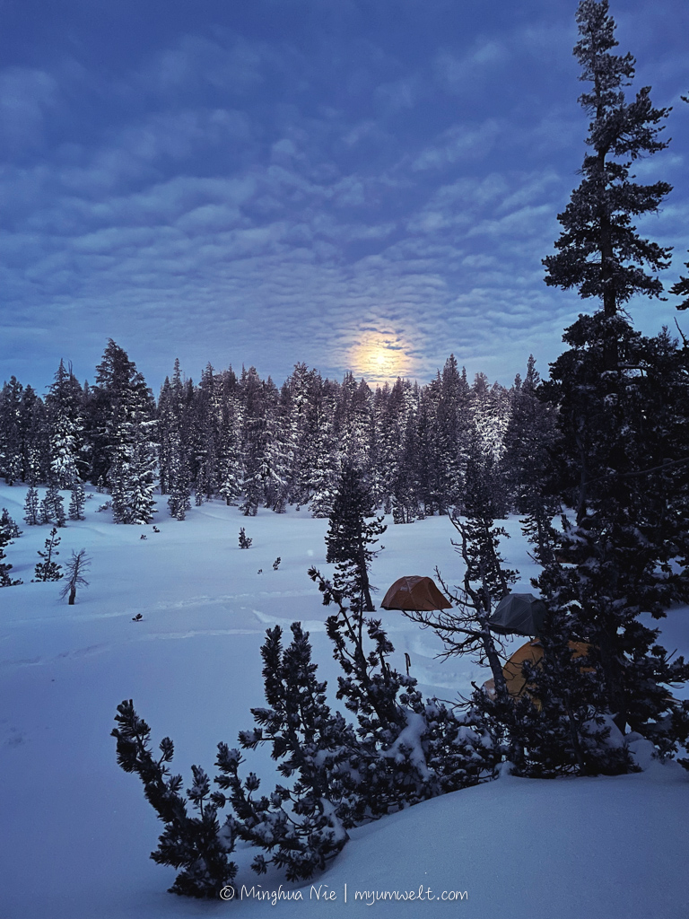 2025 WBC-final_WM-7058