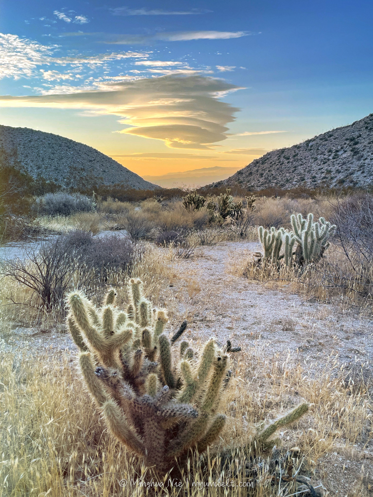 2025 WBC-final_WM-7062