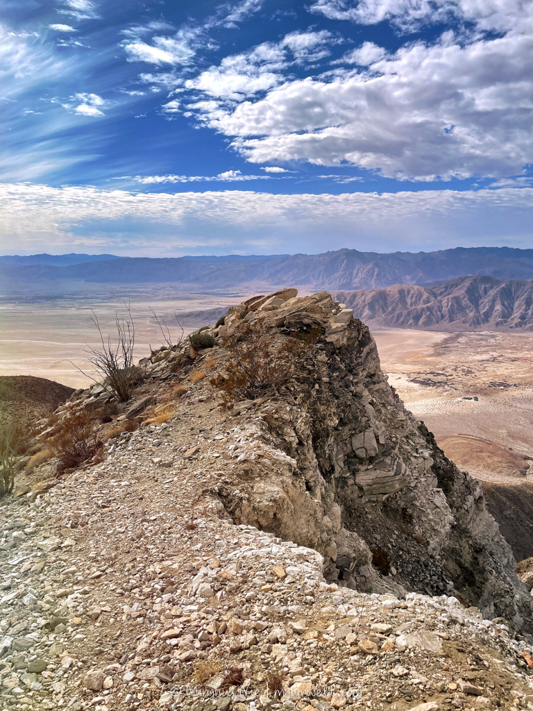 2025 WBC-final_WM-7063