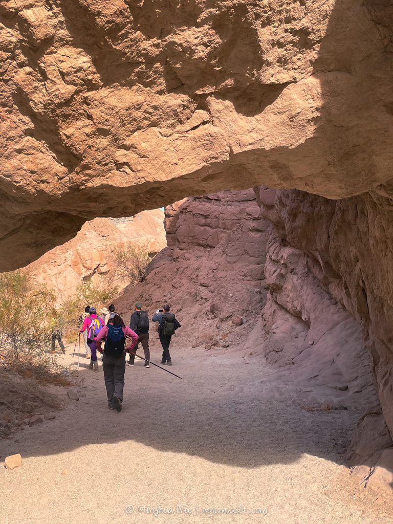 2025 WBC-final_WM-7064