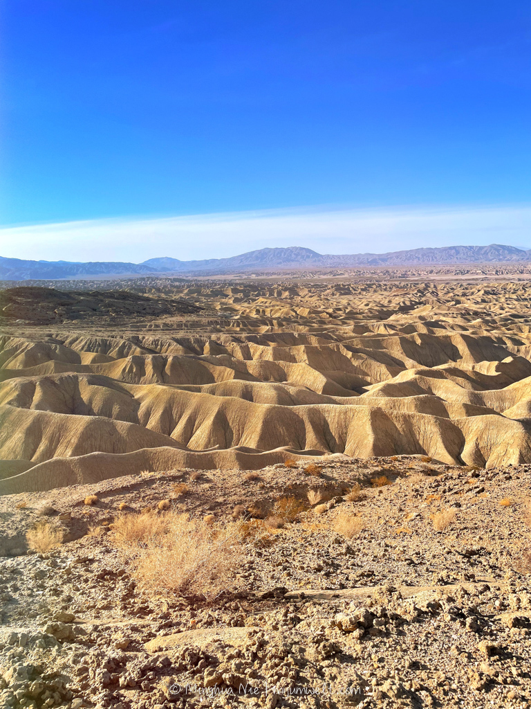 2025 WBC-final_WM-7066