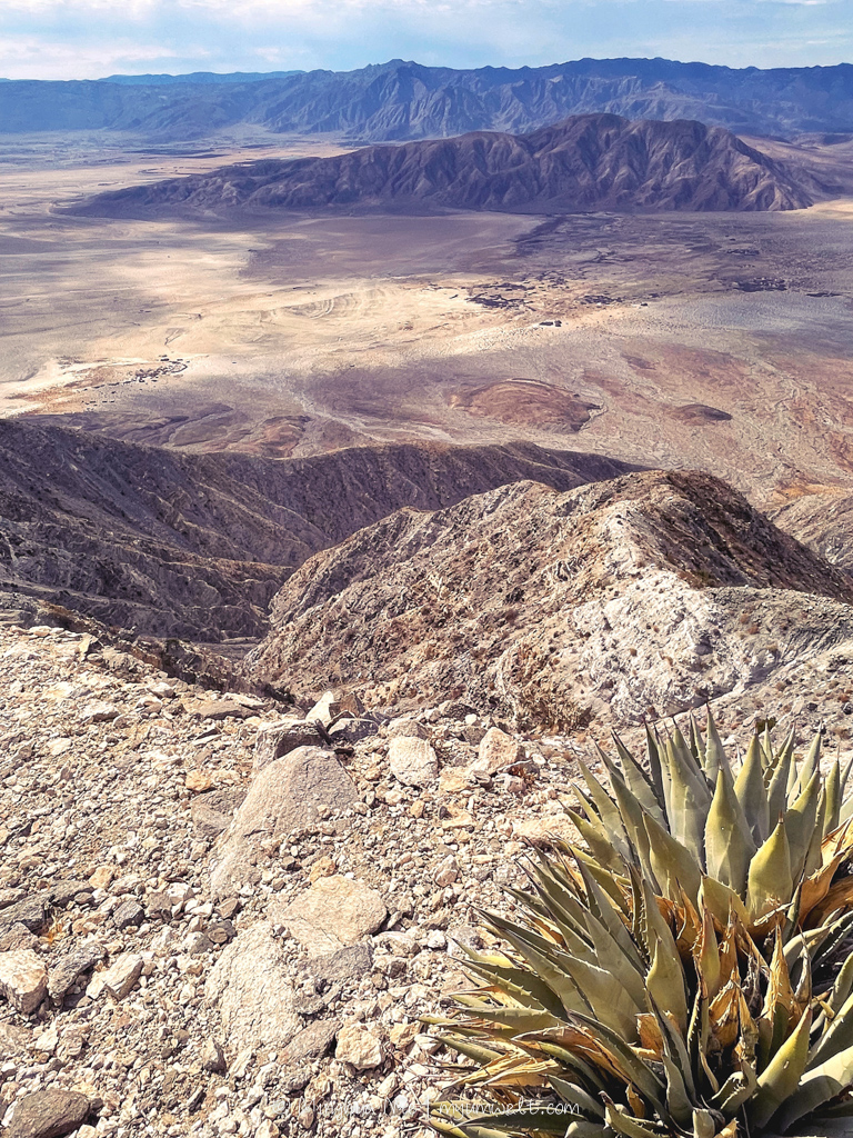 2025 WBC-final_WM-7068