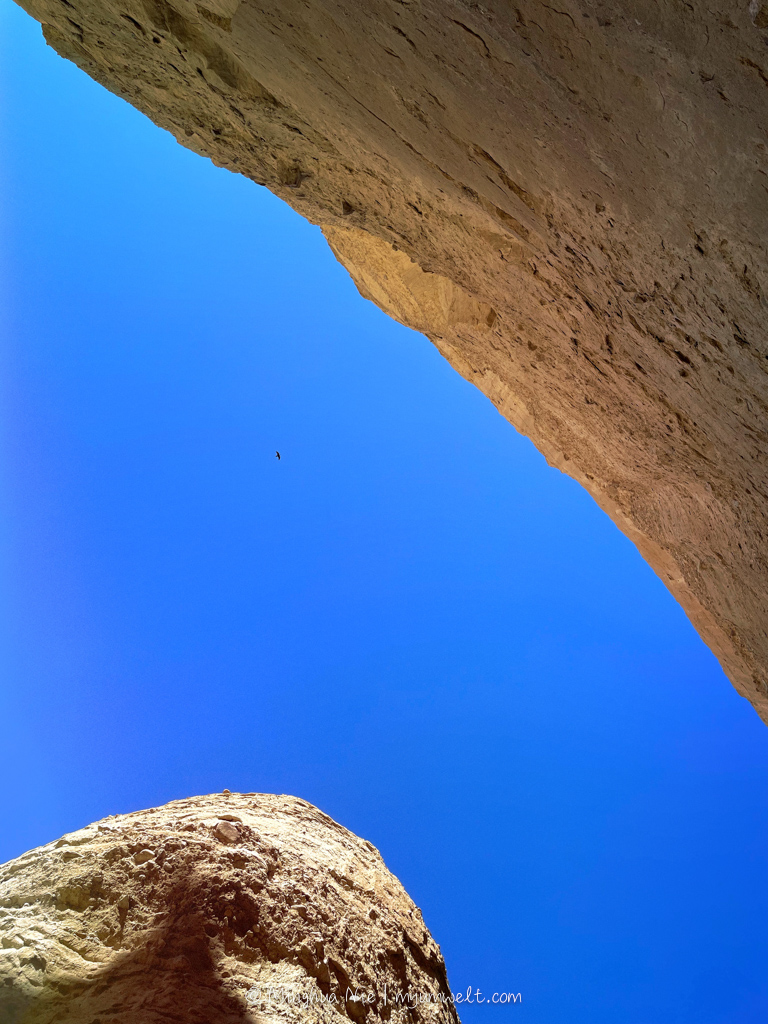 2025 WBC-final_WM-7070