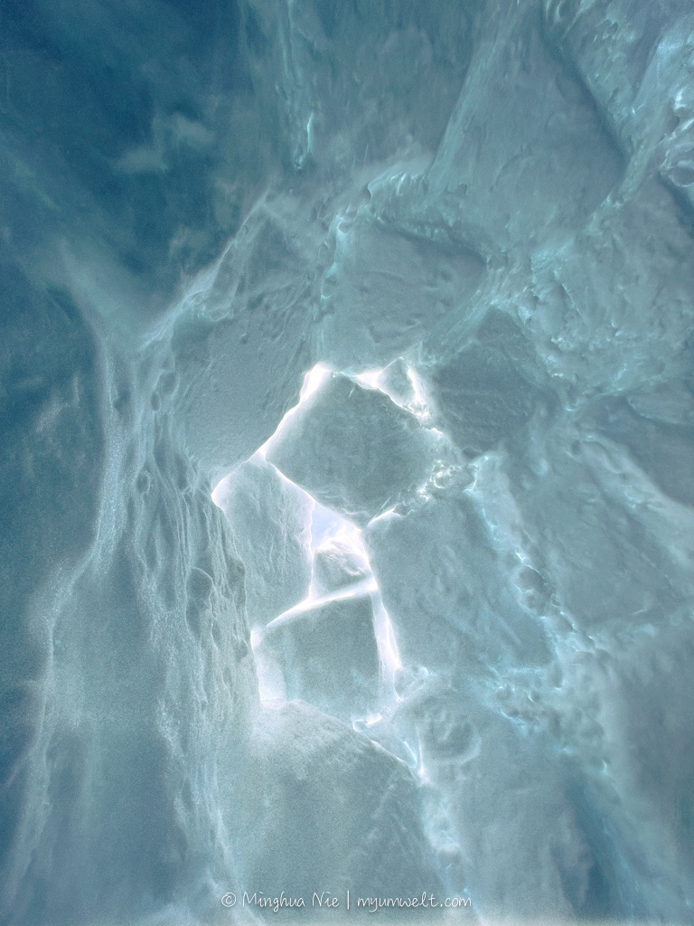 2025 WBC-final_WM-7072