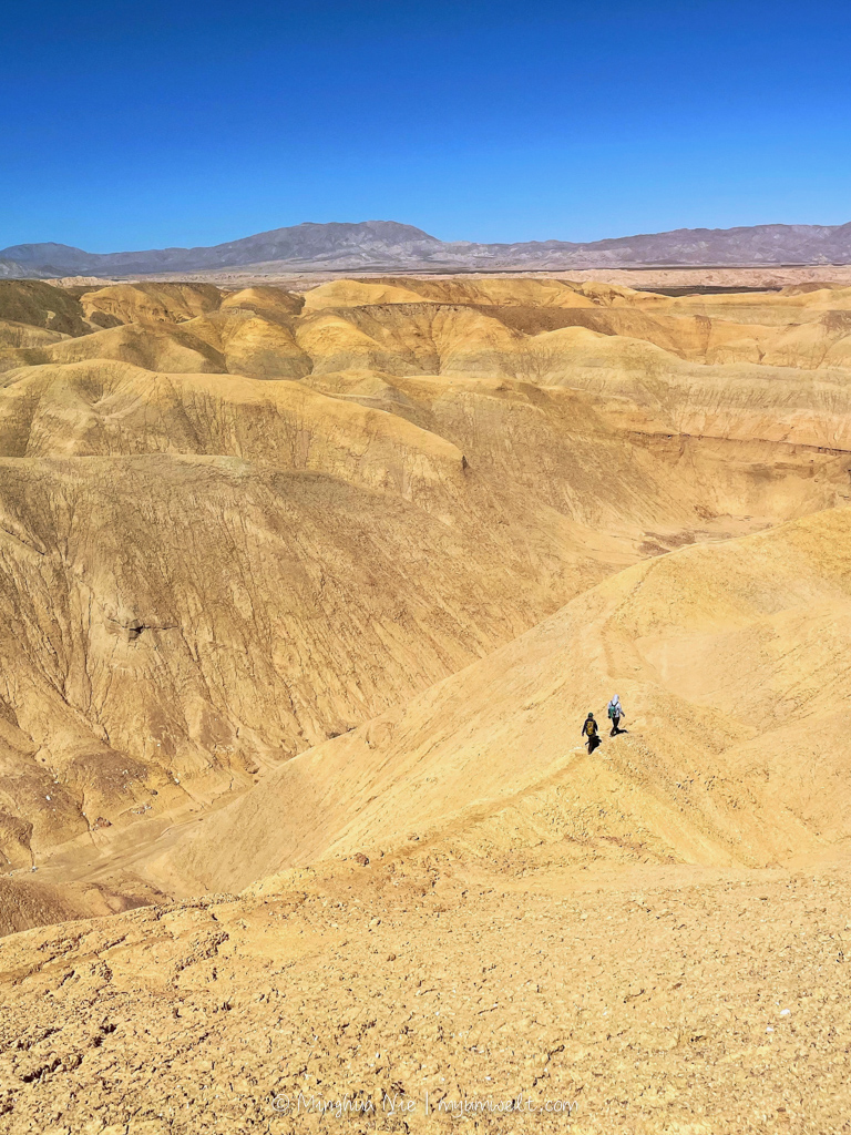 2025 WBC-final_WM-7073